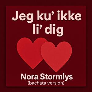 Jeg ku' ikke li' dig (Bachata Version)