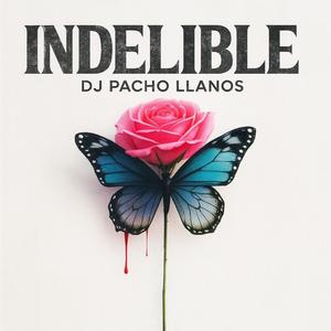Indelible (Club Mix)