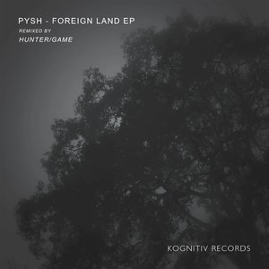 Foreign Land (Groove Edit)