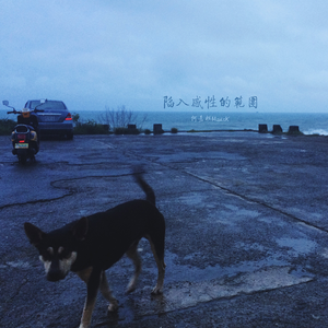 陷入感性的范围