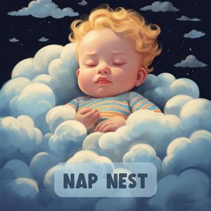 Nap Niche