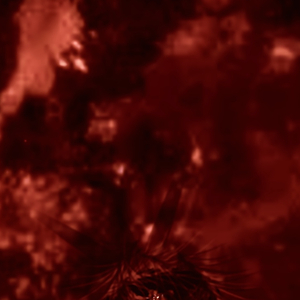 独.wav