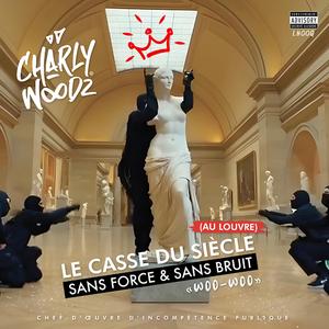 Le Casse du Siècle (au Louvre) sans force & sans bruit