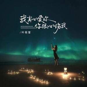 我真心爱你你狠心伤我（DJ版）