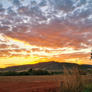 Salmo 14(15) - Senhor, quem morará em vossa casa e no vosso monte santo habitará?