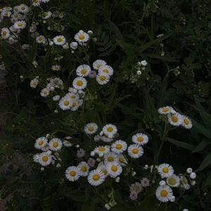 好像没什么事了