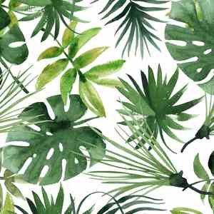 遗憾吧 (静心曲)