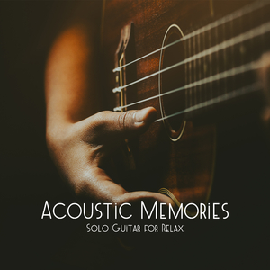 Acoustic Guitar Zone