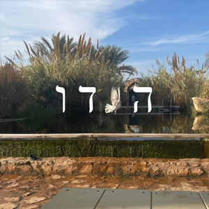 הודו