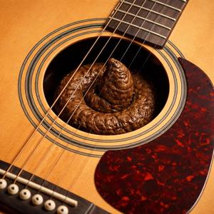 Meine Kacke kommt nicht raus!