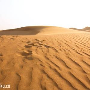 某草原沙漠一日游