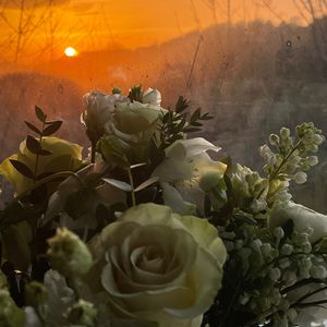 Rocky Baby 2.0 Demo (Prod.by sheepy kid)