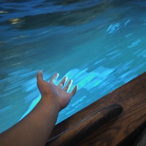 《我们的告别信》