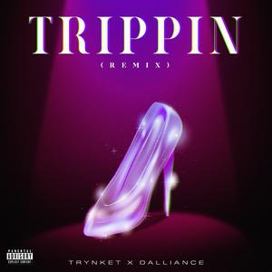 Trippin (feat. Dalliance) (Remix)