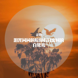 泪光闪闪的陪你看日出时的白鹭鸶