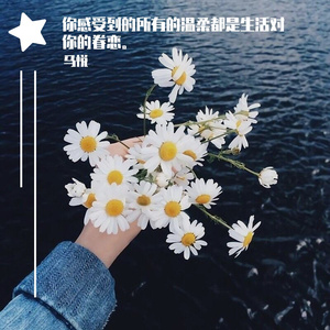 理想是什么理想