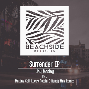 Surrender (Original Mix)
