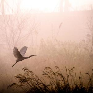 忽然之间（翻唱）