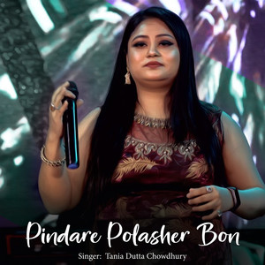 Pindare Polasher Bon