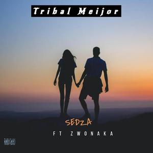 Sedza (feat. Zwonaka)
