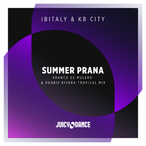 Summer Prana (Franco de Mulero & Robbie Rivera Tropical Mix)