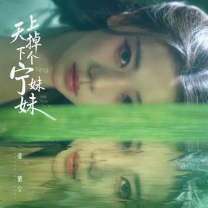 天上掉下个宁妹妹