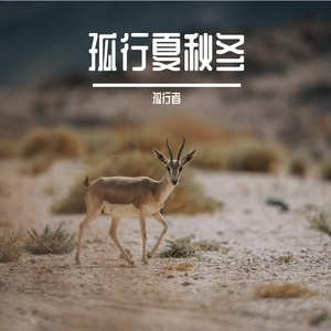 《不甘平庸，如此平庸》