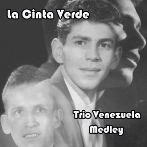 La Cinta Verde Medley: La Cinta Verde / Vete / No Puede Ser / Reproche / Cosas del Dia / Tristeza