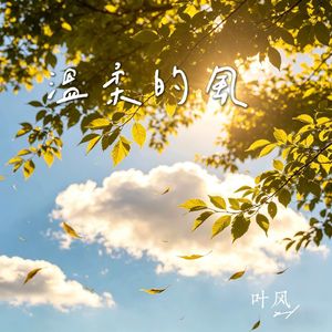 温柔的风