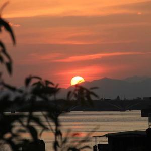 我看了56次日落