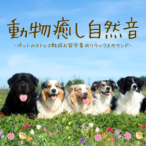 川のせせらぎ