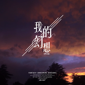 我的幻想