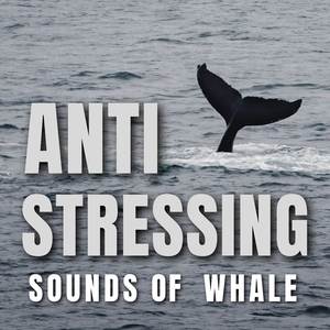 Whale Sound