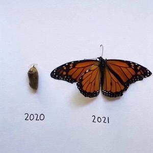 火枪手（Prod By Red killer）