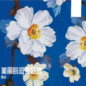 美丽的短发姑娘（吉他版）