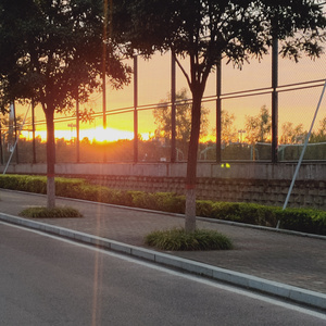 我把你写进歌里