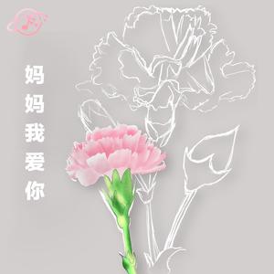 妈妈我爱你（翻自 郑国江）
