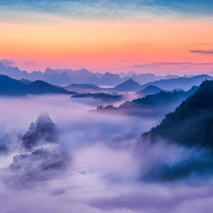 旋律之森 (纯音乐)