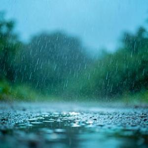 梧桐夜雨 (Cover 王佳音)