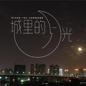 城里的月光cover