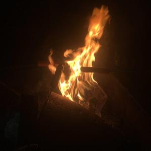 Dysregulation (rough draft demo)