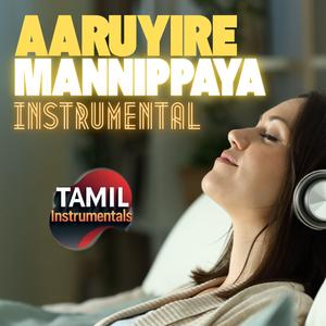 Aaruyire Mannippaya