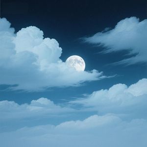 松影摇长夜