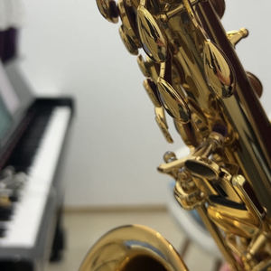 เกินต้าน (Too Cute)萨克斯版