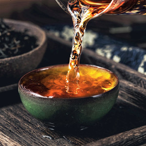 会客之道七 (古琴鸟声)