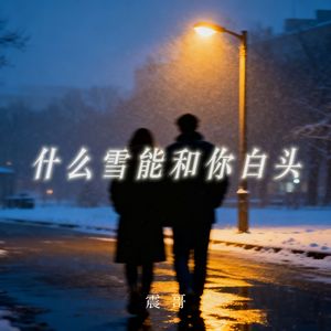 什么雪能和你白头