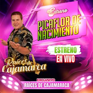 PICAFLOR DE NACIMIENTO