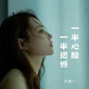 一半心酸 一半遗憾 (对唱版)