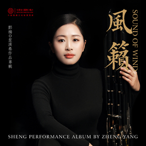 忆雪 (郑杨·笙演奏作品集)