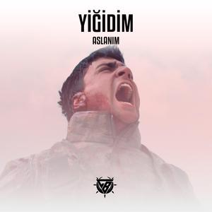Yiğidim Aslanım